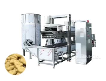 Continuous Frying Machine